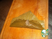 ����� �� �������� "��� �������" �����������