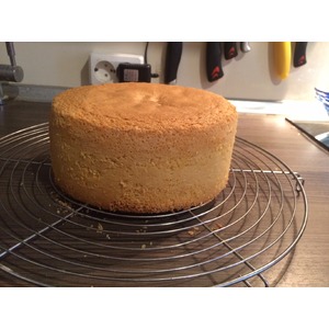 ������ �������� �������