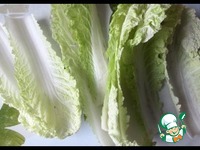 �������� � ��������� ������ �����������