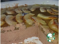 ������ � �������� � ��������� �����������