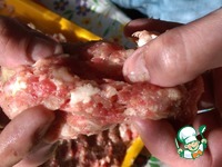 ����-����� �����������