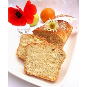 ���� �� �������� �����