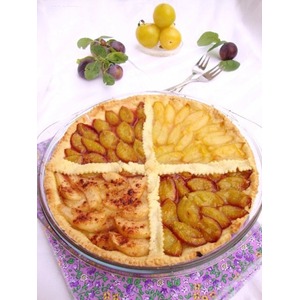 ���� "������ �������"