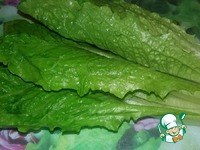 ����� � ������ �� ������� �����������