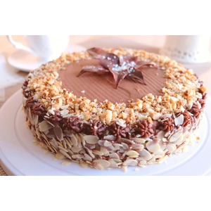 ���� "��������"