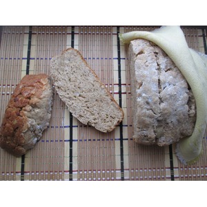 �������� ���� � �����