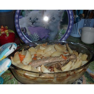 ������� ��������, �������� � �������