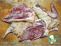 ���� ������-�������� �����������