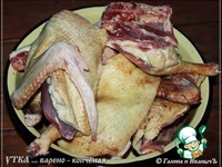 ���� ������-�������� �����������