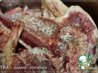 ���� ������-�������� �����������