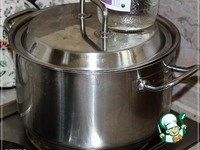 ���� ������-�������� �����������