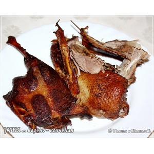 ���� ������-��������