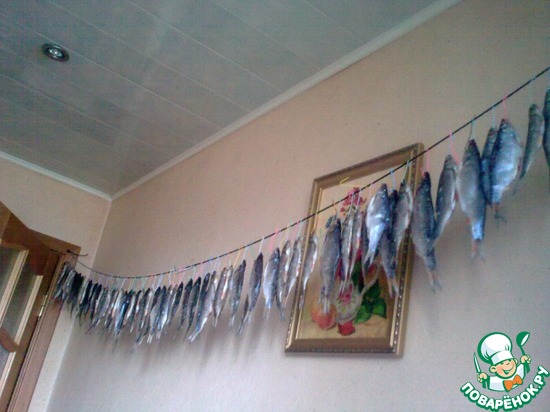 ������� �����.