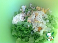 ����� "��������� ��������" �����������