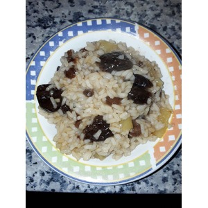 ��� � ���� � ������������