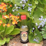 ��� ������� ���� � �������