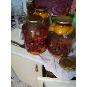 ������ �� ���������� � �����������