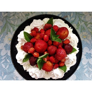 ���� "�������"