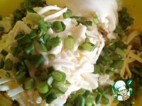 ������ �������� � ���������� �����������