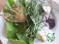 ������������ ������ � ������� ���������� "�������" �����������