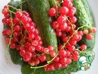 ������������ ������ � ������� ���������� "�������" �����������