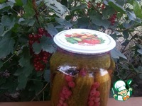 ������������ ������ � ������� ���������� "�������" �����������