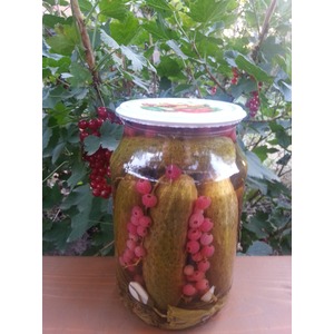 ������������ ������ � ������� ���������� "�������"