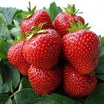 ��� ����� ��� ��������� ���������