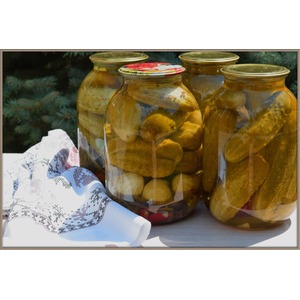 ������������ ������ "���������"