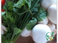 ������, ���������� � ������������ � ������� �����������