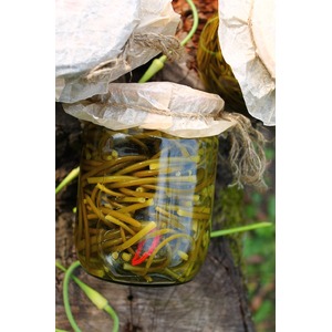 ������������ ��������� �������