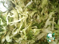 ������ �� ������ � �������� �����������