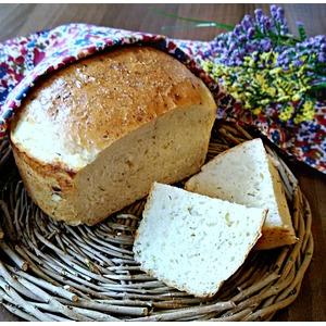 ��������� ����