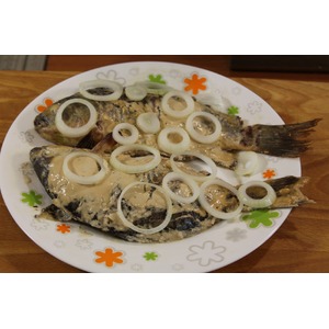 ������ � ��������� �����