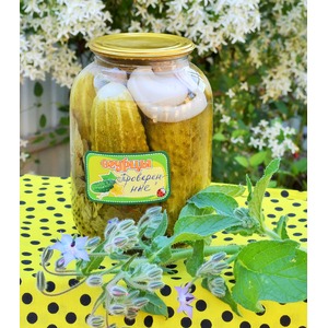 ���������������� ������ "�����������"