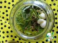 ���������������� ������ "�����������" �����������