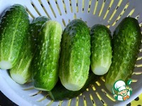 ���������������� ������ "�����������" �����������