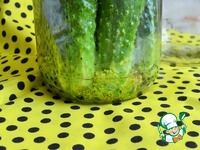 ���������������� ������ "�����������" �����������