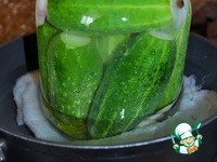 ���������������� ������ "�����������" �����������