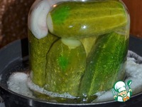 ���������������� ������ "�����������" �����������