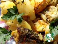 ��������� � ����� � ��������-��������� ����� �����������