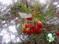 �������� ������� � ������� ��� ������ �����������