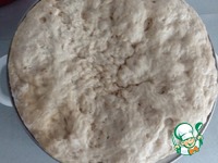 ������� �������-����������� �����������