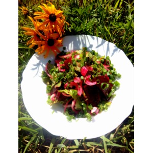 ����� "���������� ������"