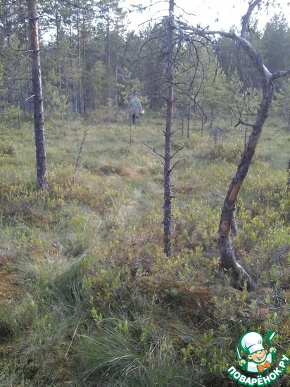 ���� ��� ���� ���������