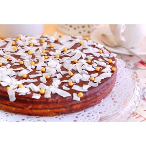 ���� "������" ���������