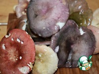 ����� �� �������� "����� ��-��������" �����������