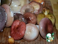 �������� ������������ �����������