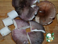 �������� ������������ �����������