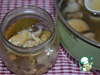 �������� ������������ �����������